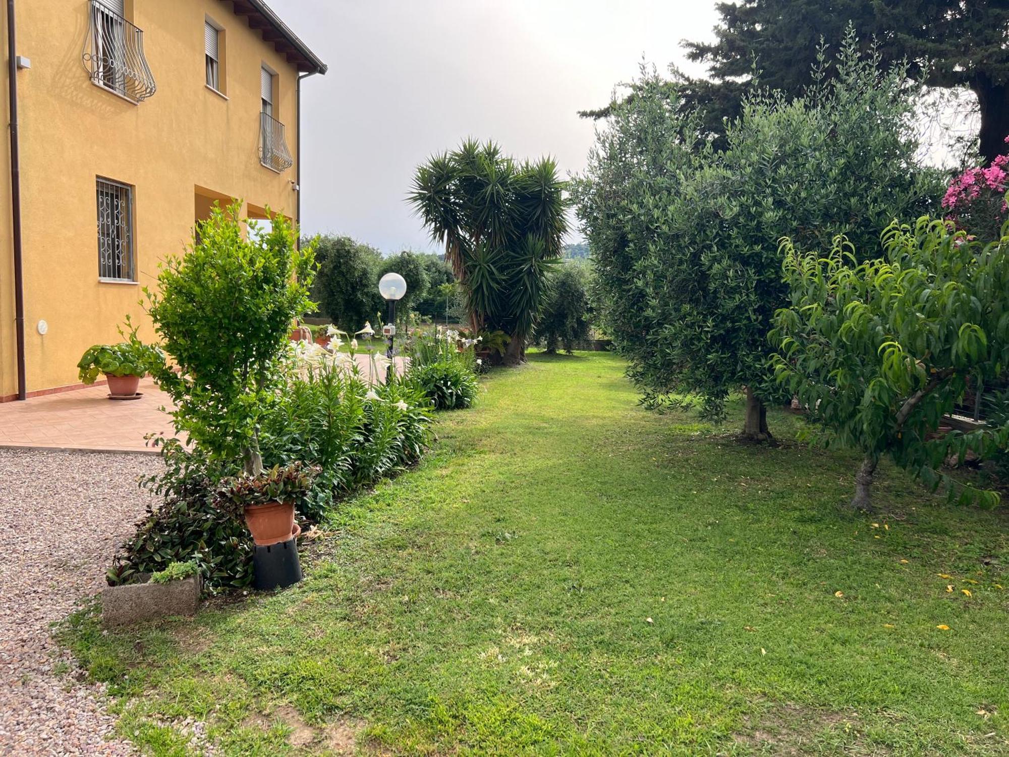 Agriturismo Il Giardino Degli Olivi Appartamenti Castiglione della Pescaia Exterior photo