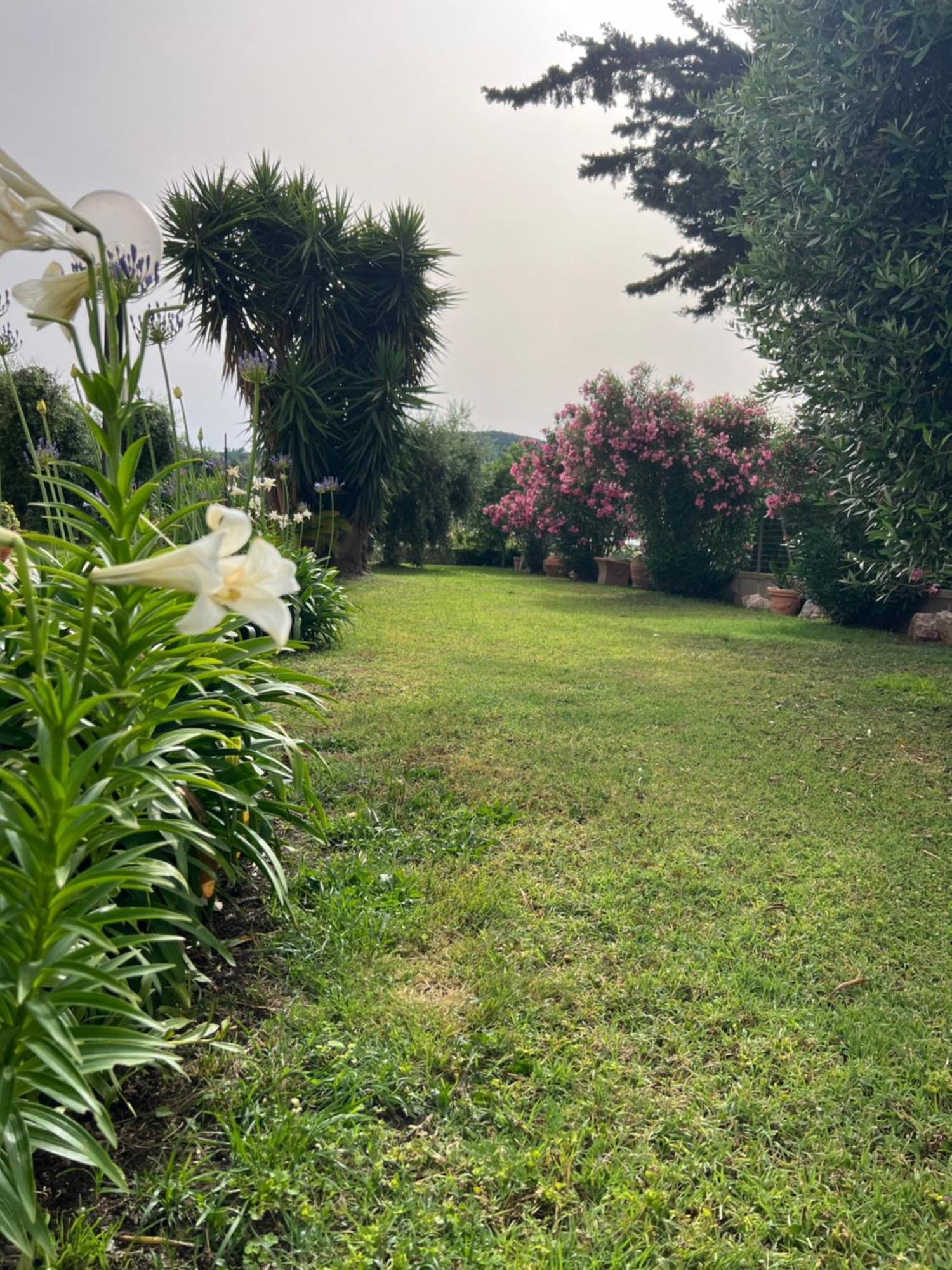 Agriturismo Il Giardino Degli Olivi Appartamenti Castiglione della Pescaia Exterior photo